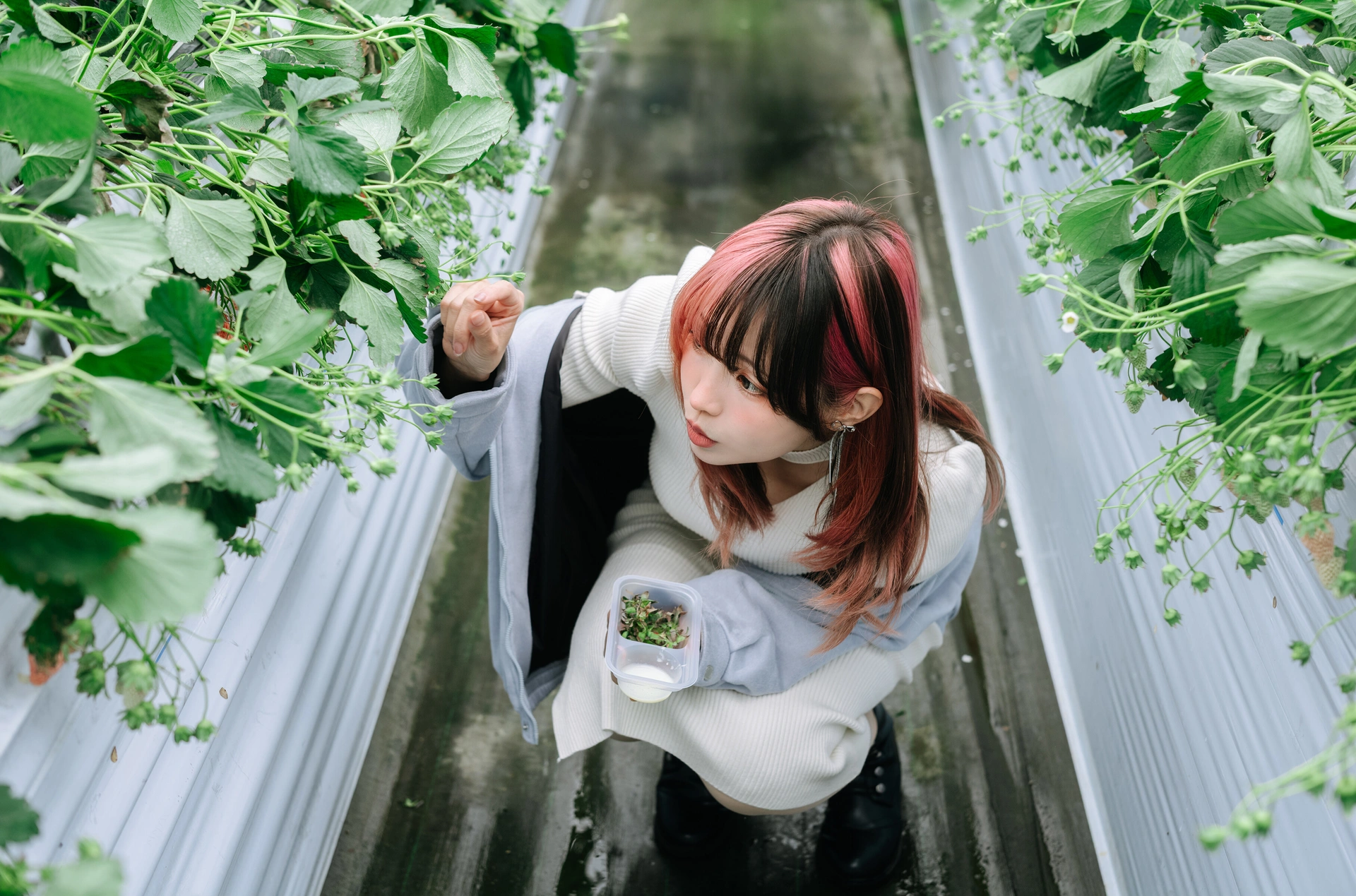 ElyEE子 – NO.211 2025年03月订阅 (3套) 2